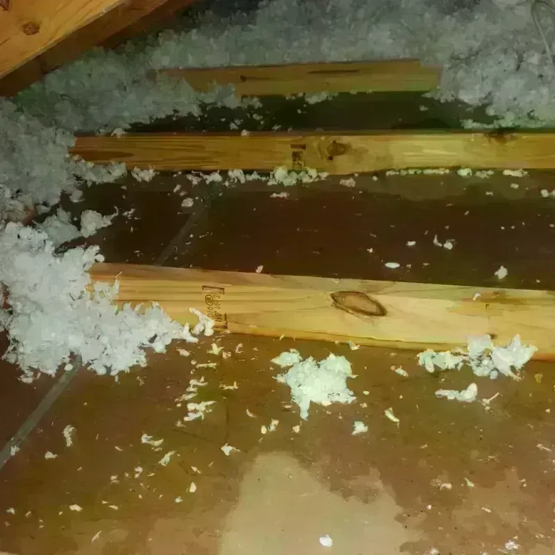 Attic Water Damage in Edgerton, MN