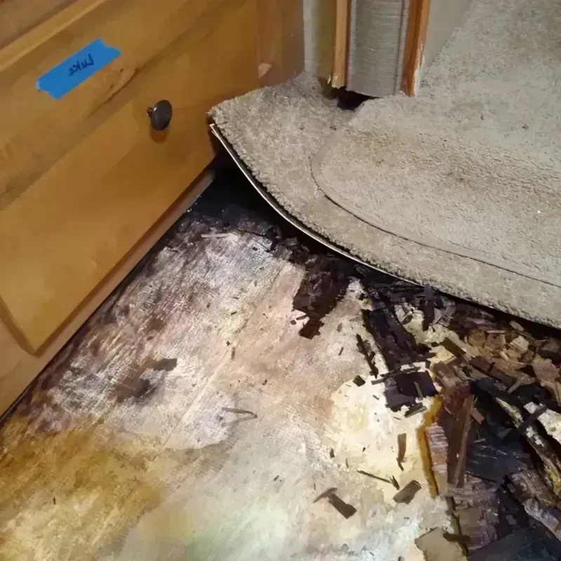 Wood Floor Water Damage in Edgerton, MN